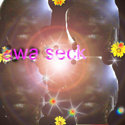 et elle c awa  la soeur jumelle de adama